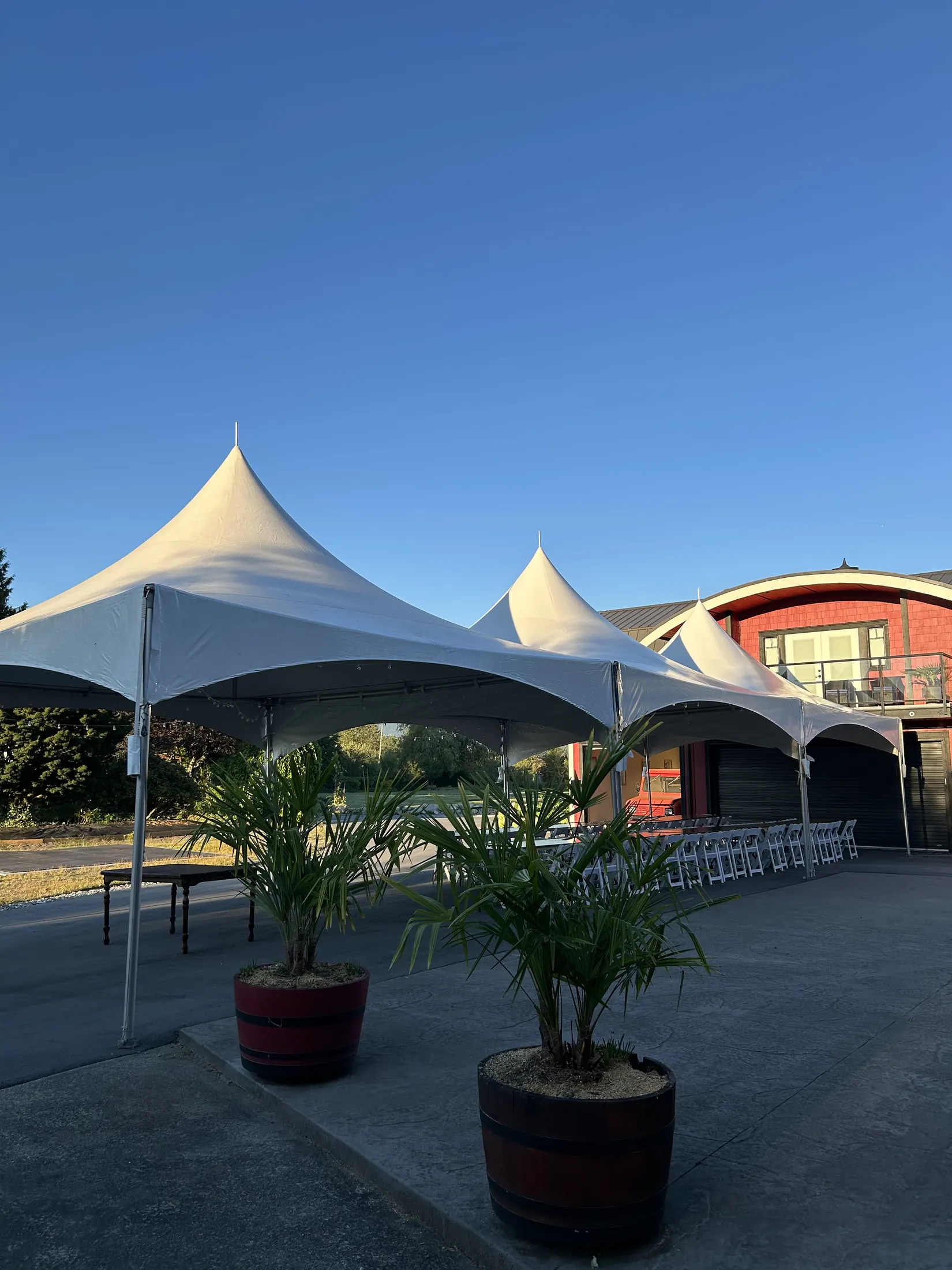 Palm Meadows Farm wedding gallery image 8